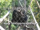 Animal Enclosure, Zoo Mesh